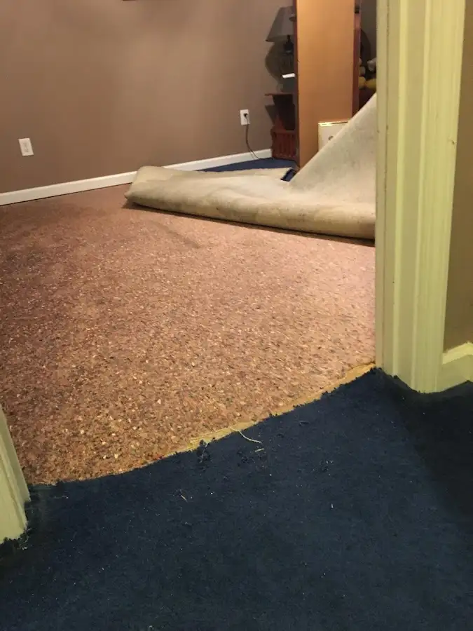 Carpet pad removal revealing water damage during Drying & Dehumidification in South Fayette