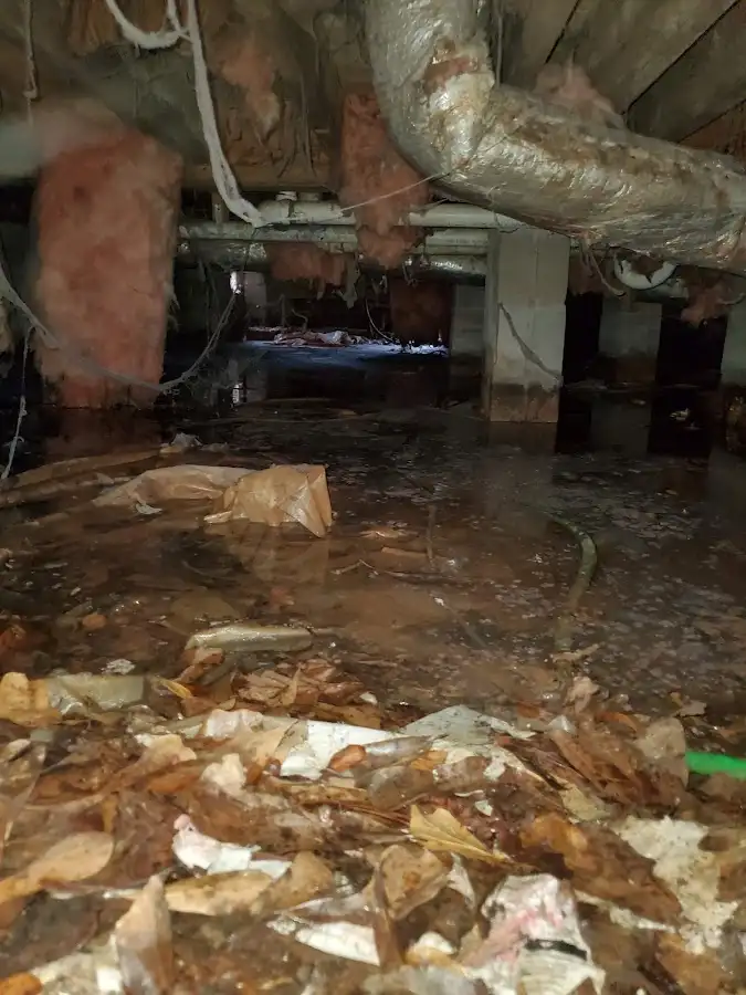 Crawl space flood assessment for Leak Detection & Repair in South Fayette