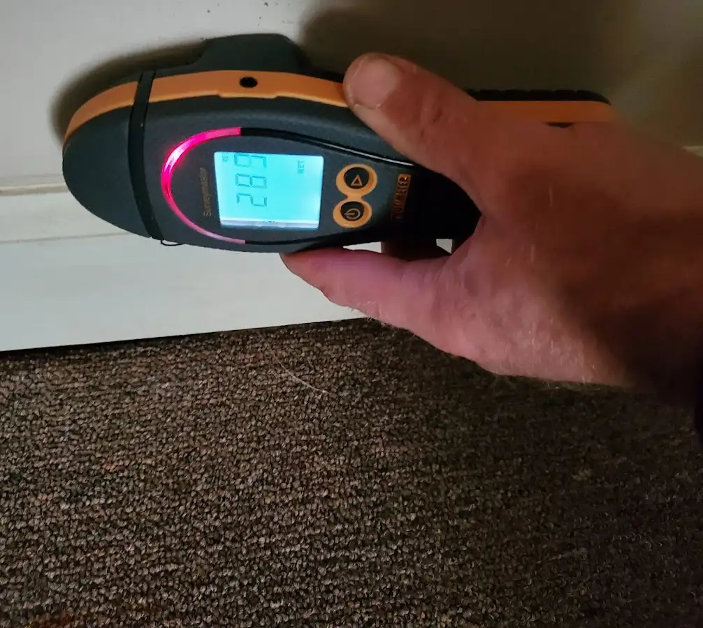 Moisture detection at baseboard during Sewage Cleanup & Sanitation in South Fayette